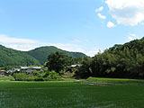 森林
