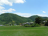 森林