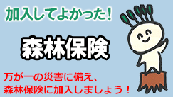 森林保険