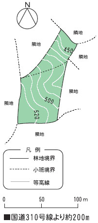 林地情報
