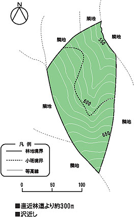 林地情報