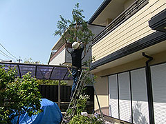 高槻森林観光センター